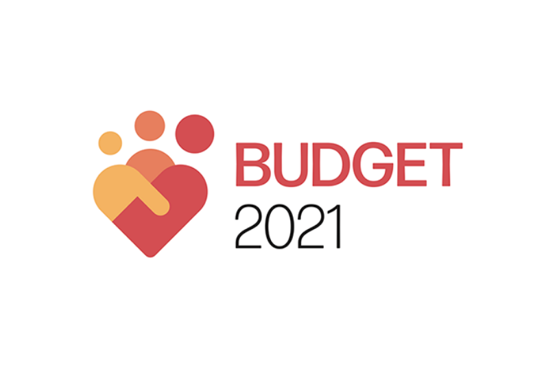 Budget 2021 logo